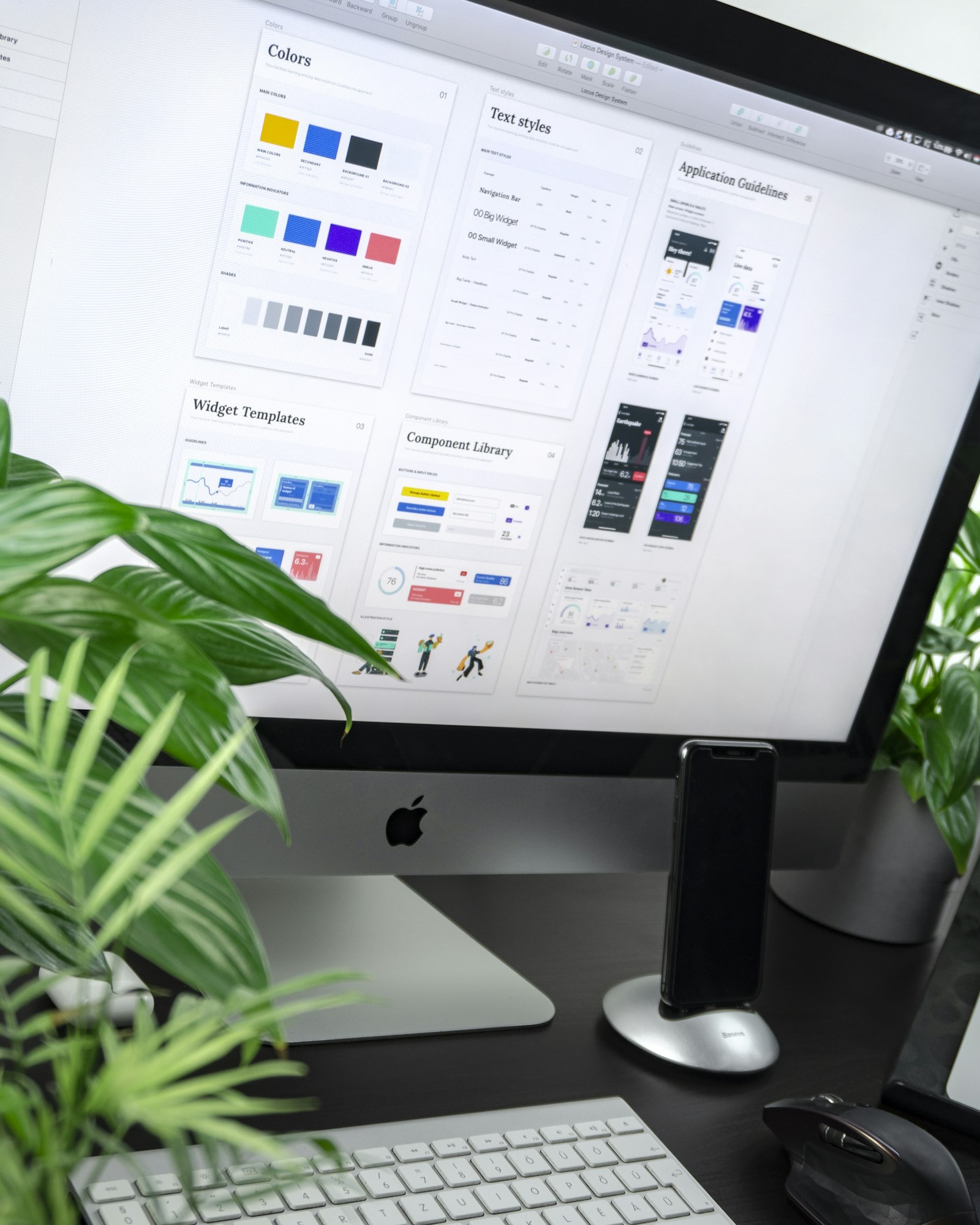 Brand Identity
